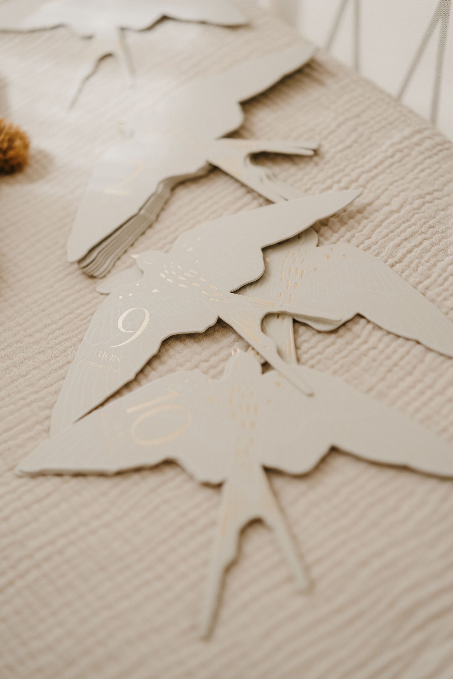 Cartes étapes - Birds - Mini bouchon