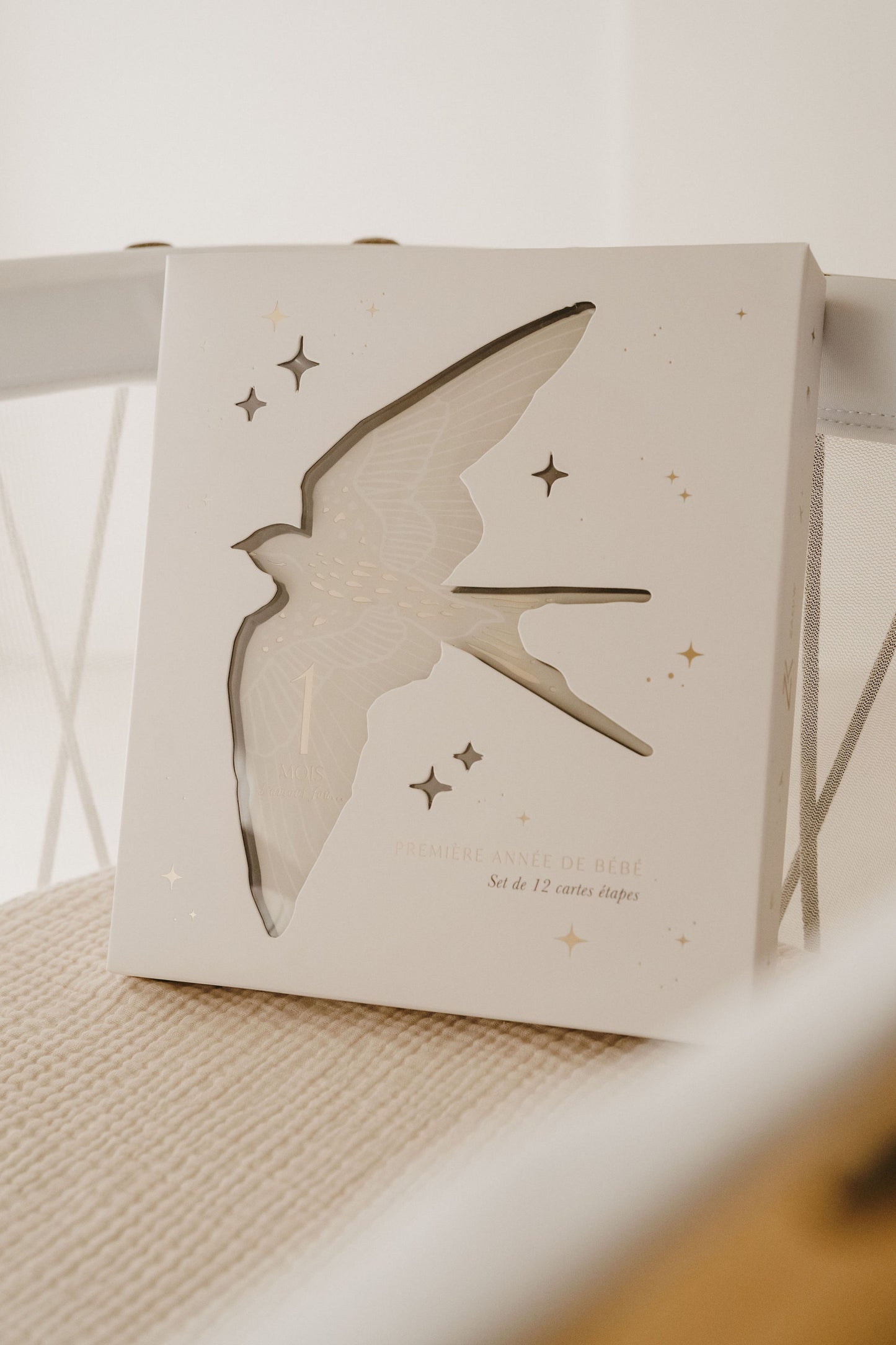 Cartes étapes - Birds - Mini bouchon