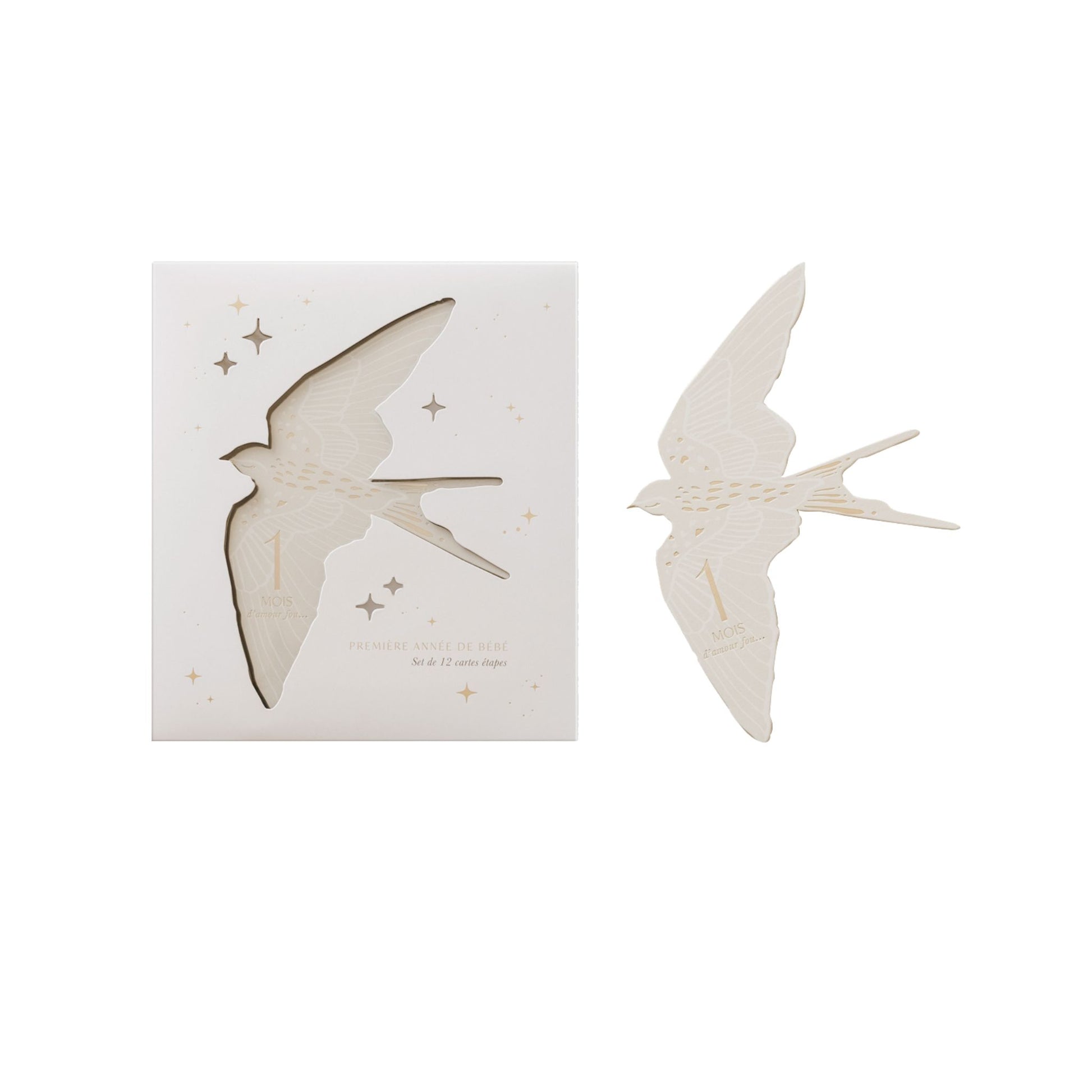 Cartes étapes - Birds - Mini bouchon